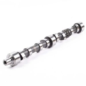 PASOU E049305000015 Truck Parts Camshaft for Isuzu NKR TFR JMC 1030 4ja1 4jb1 Diesel Engine